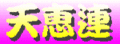 天恵連 天恵連